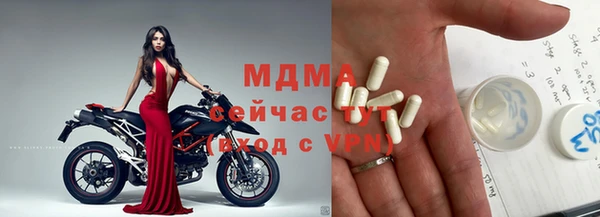 стаф Аркадак