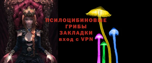 2c-b Балахна