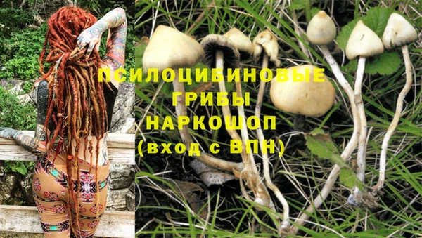 марки nbome Балабаново